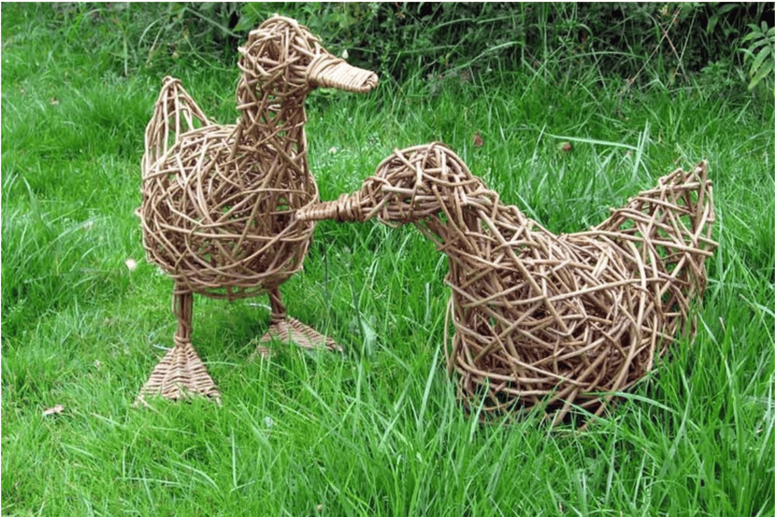 Willow_Ducks_WP_Workshop Cover(2160 × 1440 px)