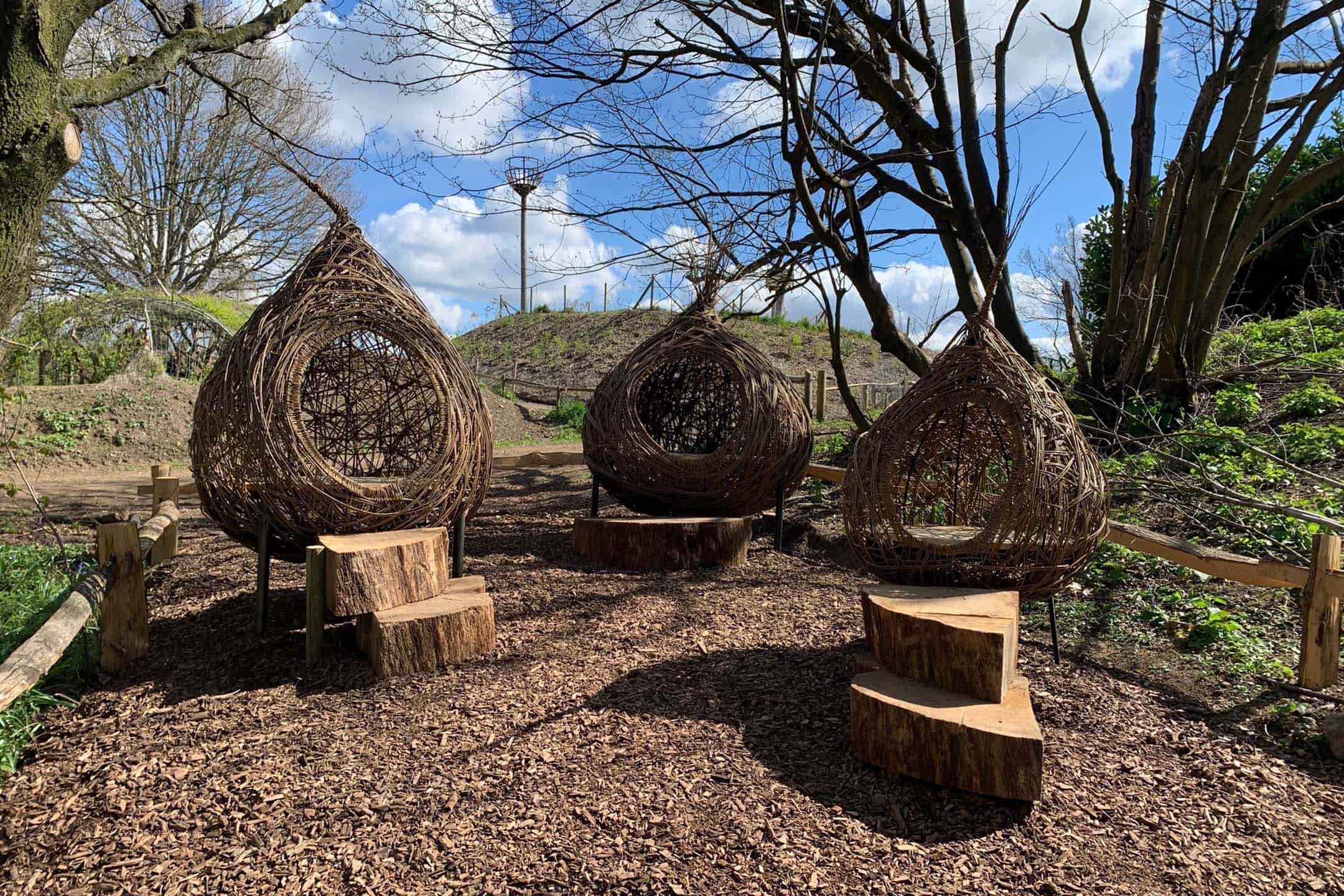 Cocoons / Pods