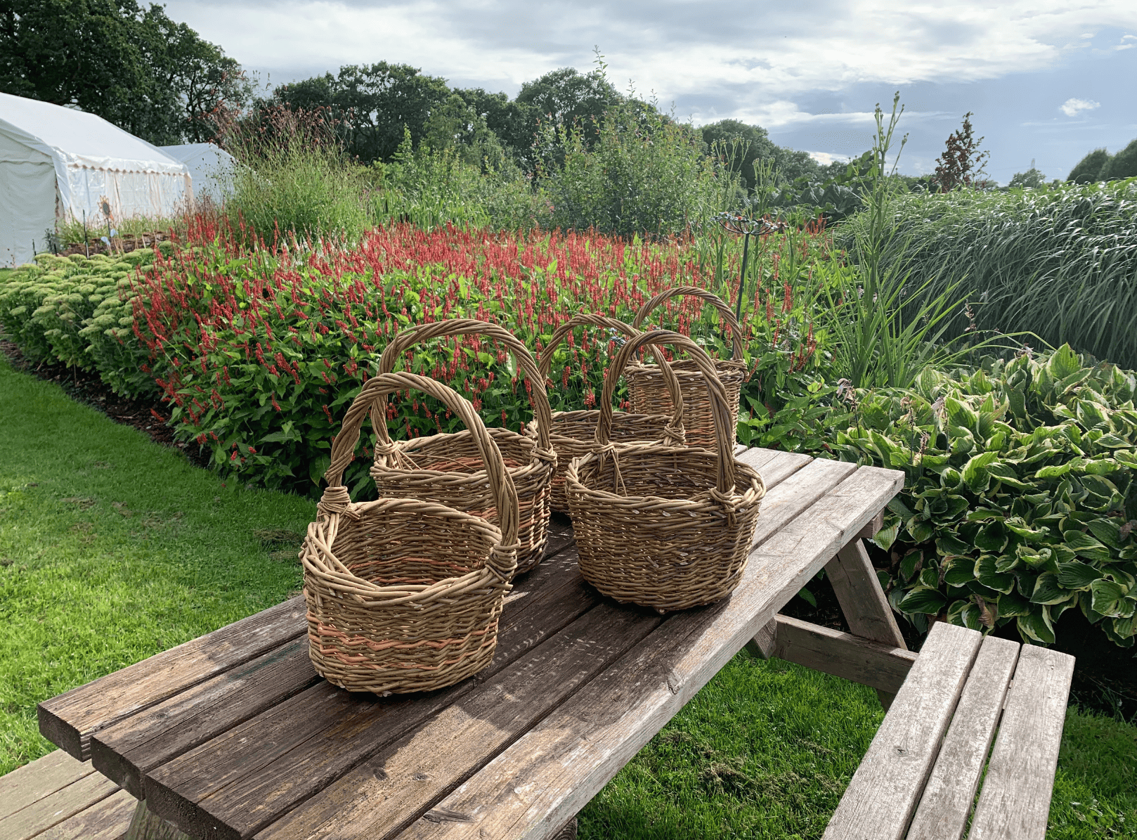 BasketMaking