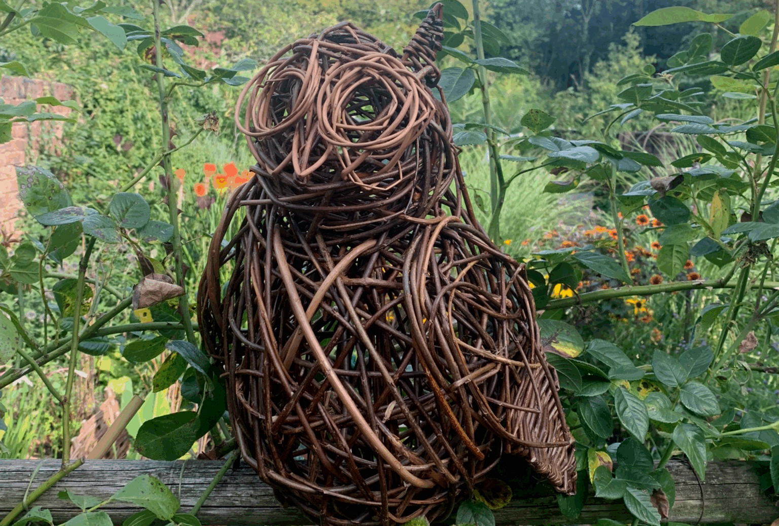 Willow Owl